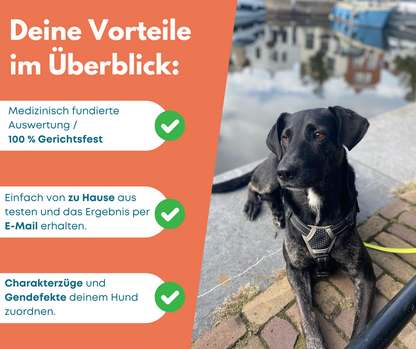 DNA Hunderassenbestimmung