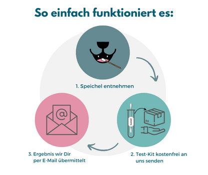 DNA-Erbkrankheiten Analyse Hund