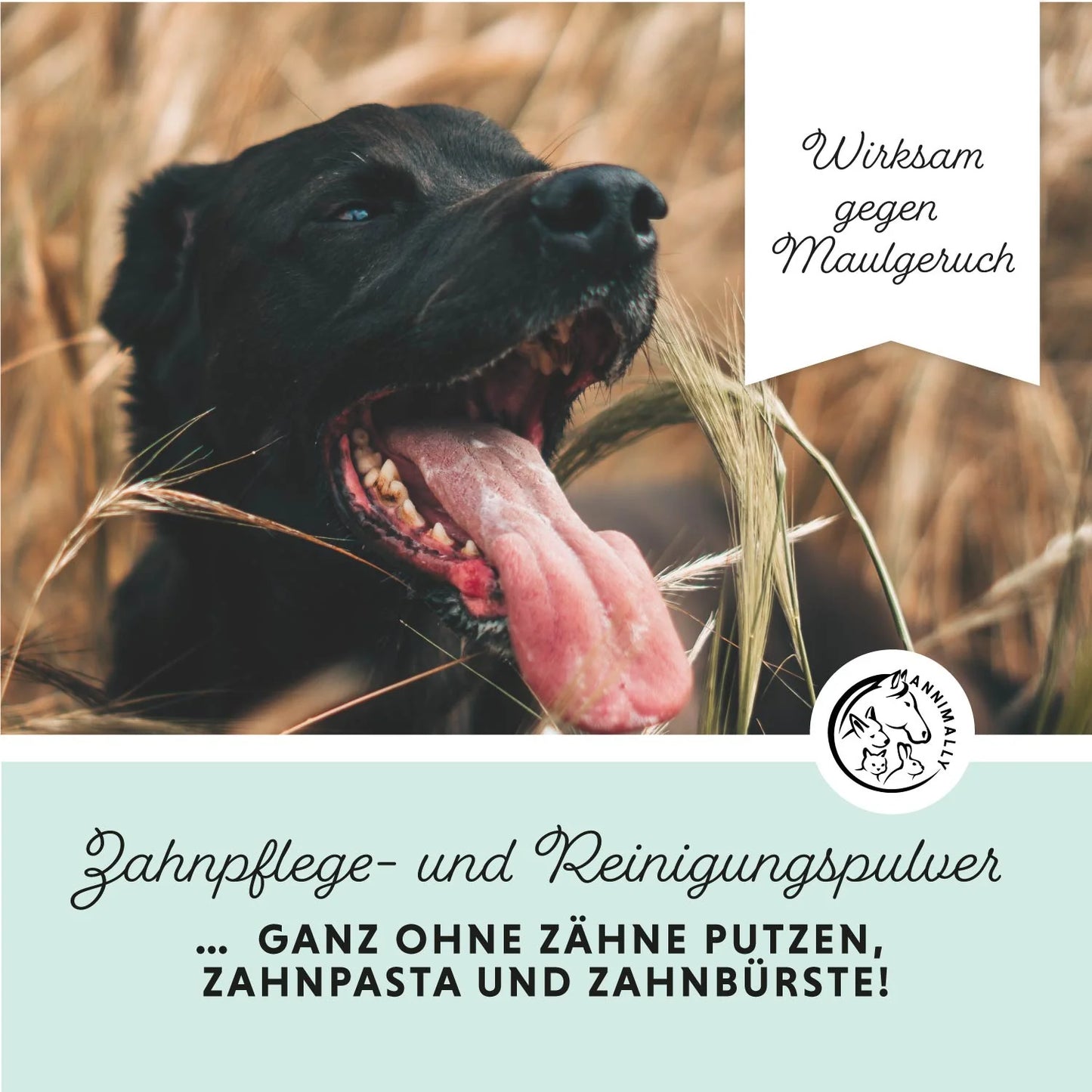 Annimally - Oral Vital Zahnpflege für Hunde