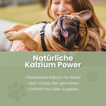 Eierschalenpulver für Hunde