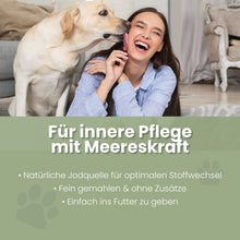 Seealgenmehl Pulver