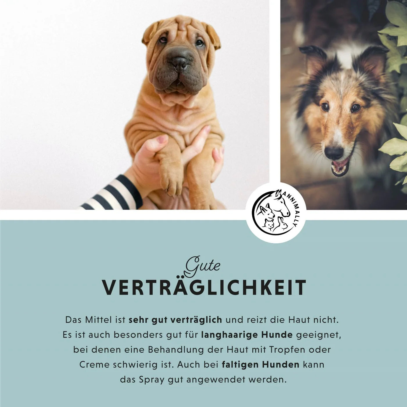 Annimally -  Skin Care Pro Pflegespray Pferd&Hund