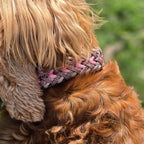 Pfotenlieblinge - Handgemachtes Paracord-Hundehalsband "Spring Blush"