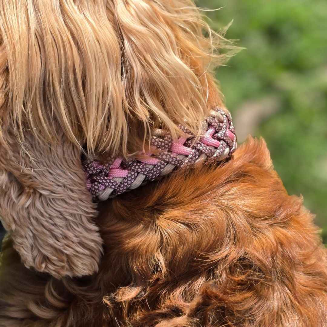 Pfotenlieblinge - Handgemachtes Paracord-Hundehalsband "Spring Blush"
