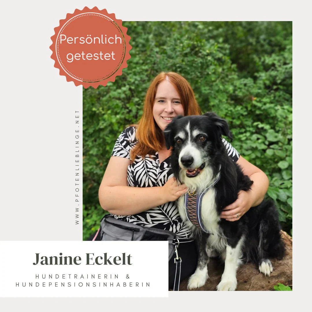 Pfotenlieblinge - Handgemachtes Paracord-Hundehalsband "Seagrass"