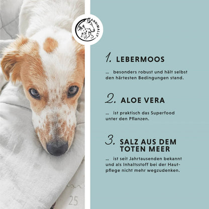 Annimally -  Skin Care Pro Pflegespray Pferd&Hund