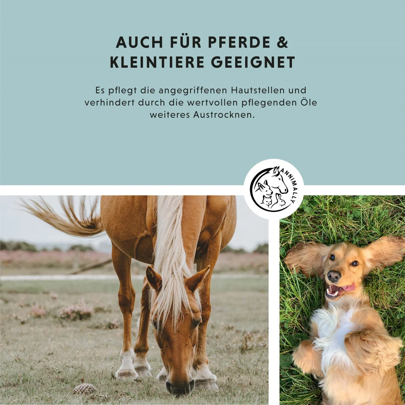 Annimally -  Skin Care Pro Pflegespray Pferd&Hund