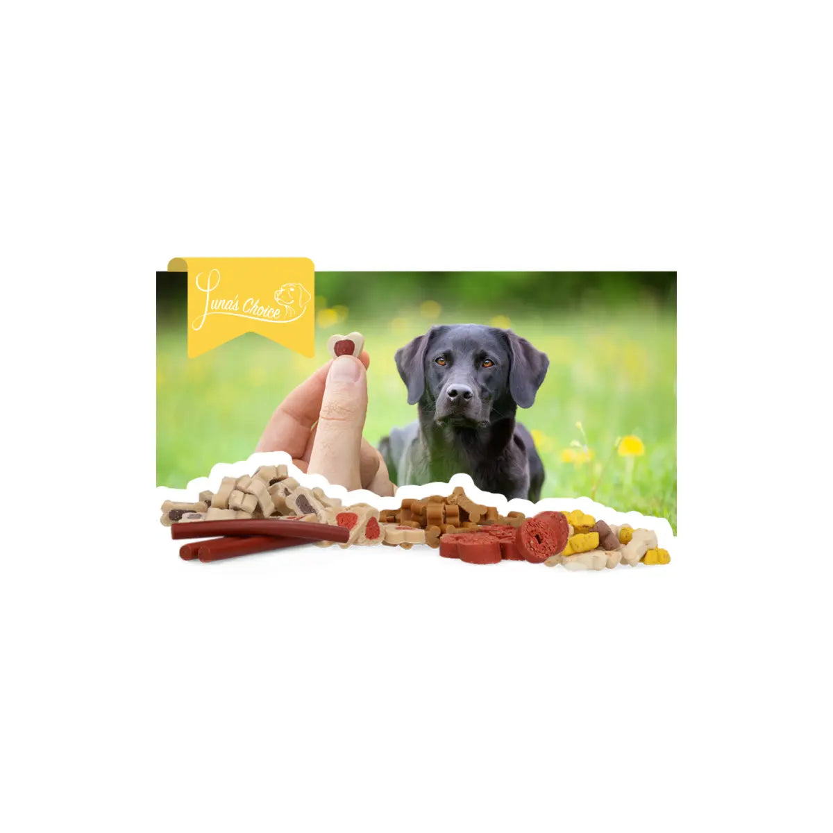 Luna's Choice Trainer Mix Deer Drop (glutenfrei)