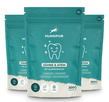 Hundpur® Zähne & Atem