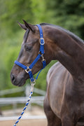 Covalliero - Nylonhalfter Mustang blau-schwarz