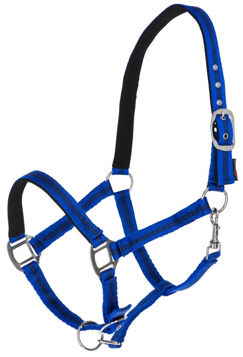 Covalliero - Nylonhalfter Mustang blau-schwarz