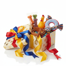 Mysterybox Hund Produktfoto