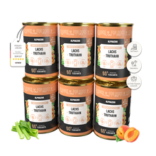 Lachs + Truthahn Nassfutter für Adult Hunde