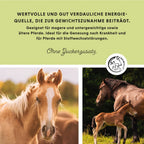 Annimally - Weight Gainer Konzentrat