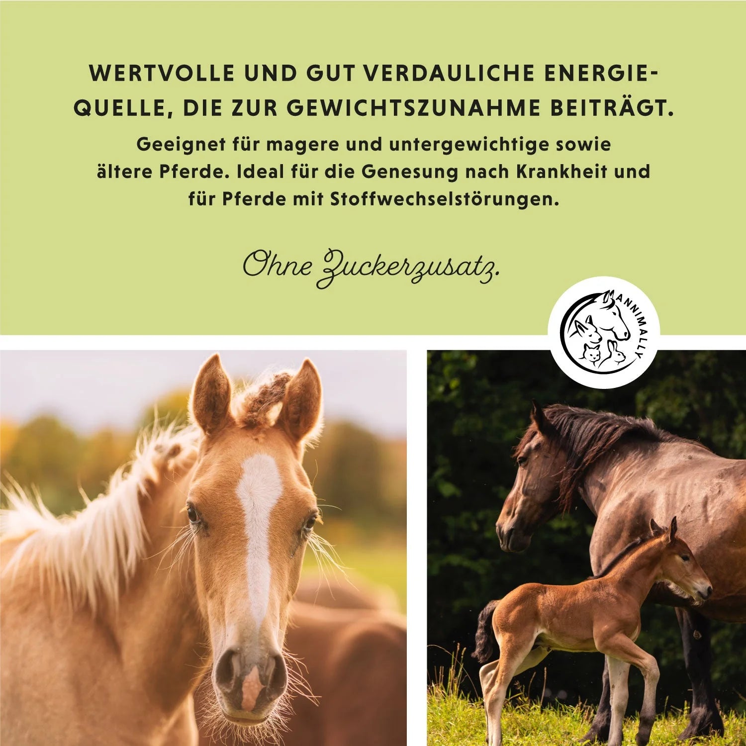 Annimally - Weight Gainer Konzentrat