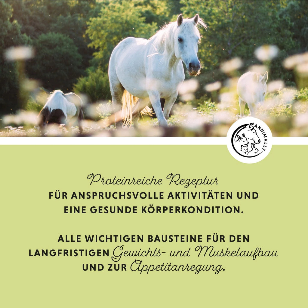 Annimally - Weight Gainer Konzentrat