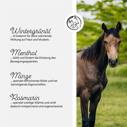 Annimally Pferdesalbe 500ml