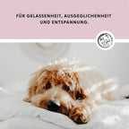 Annimally - Relax Tabletten