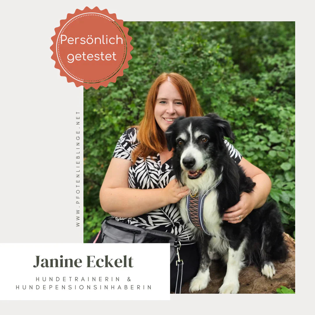 Pfotenlieblinge - Hundeleine „Rose Sage“ – handgemacht, 2m verstellbar & besonders stabil
