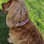 Pfotenlieblinge - Handgemachtes Paracord-Hundehalsband "Spring Blush"