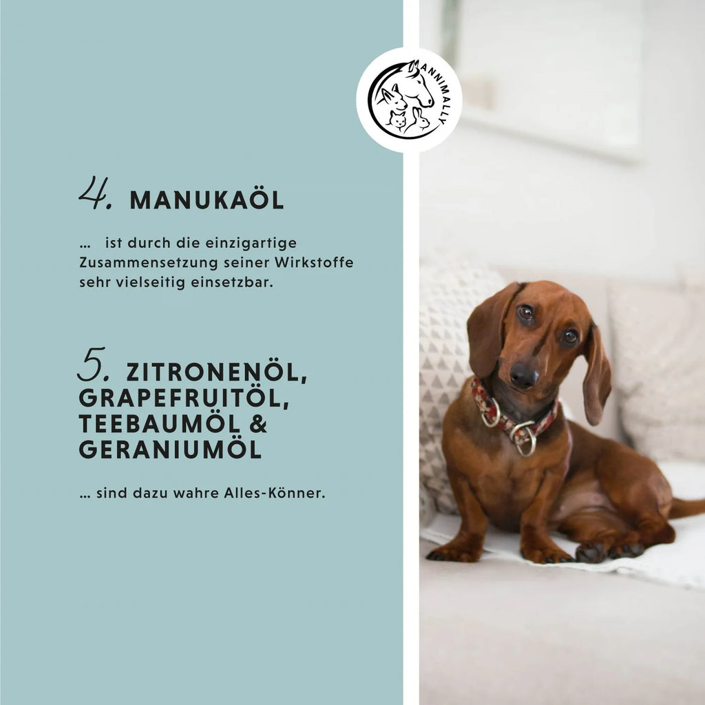 Annimally -  Skin Care Pro Pflegespray Pferd&Hund