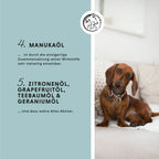 Annimally -  Skin Care Pro Pflegespray Pferd&Hund