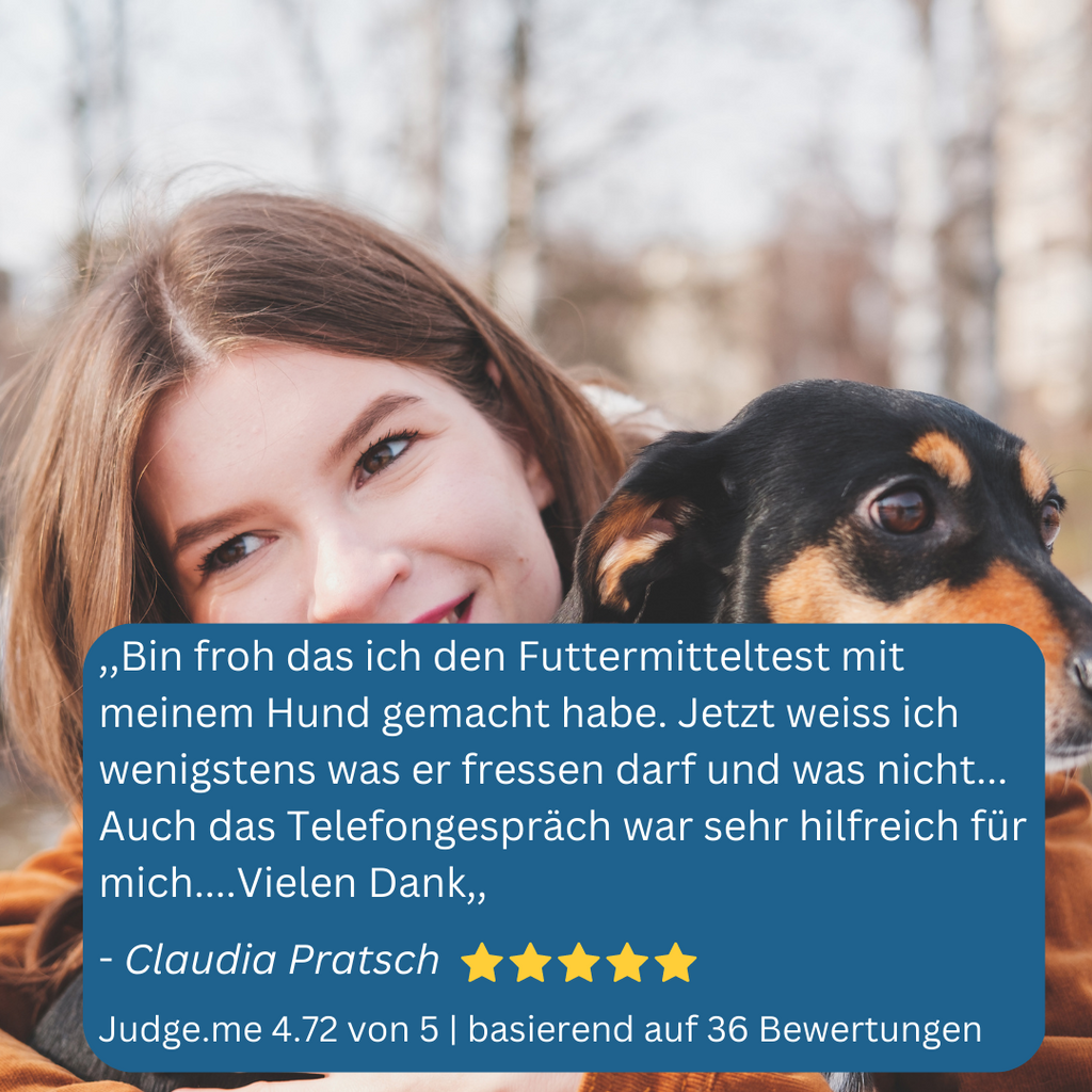 Allergietest Hund