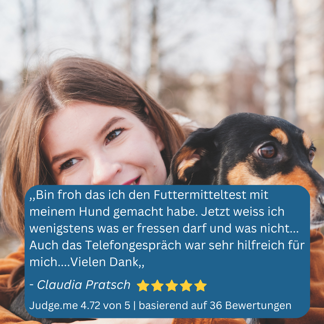 Allergietest Hund