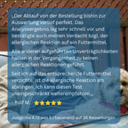 Allergietest Hund