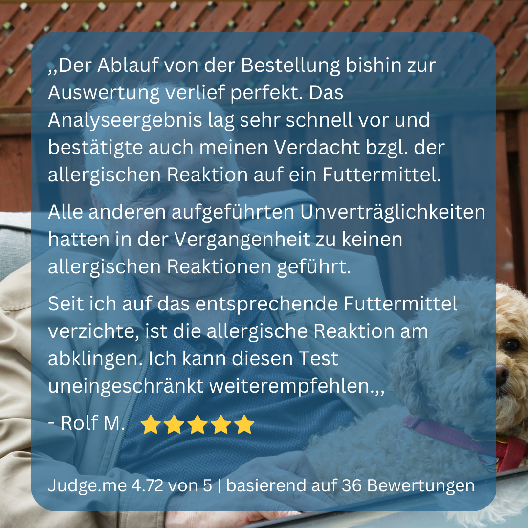 Allergietest Hund