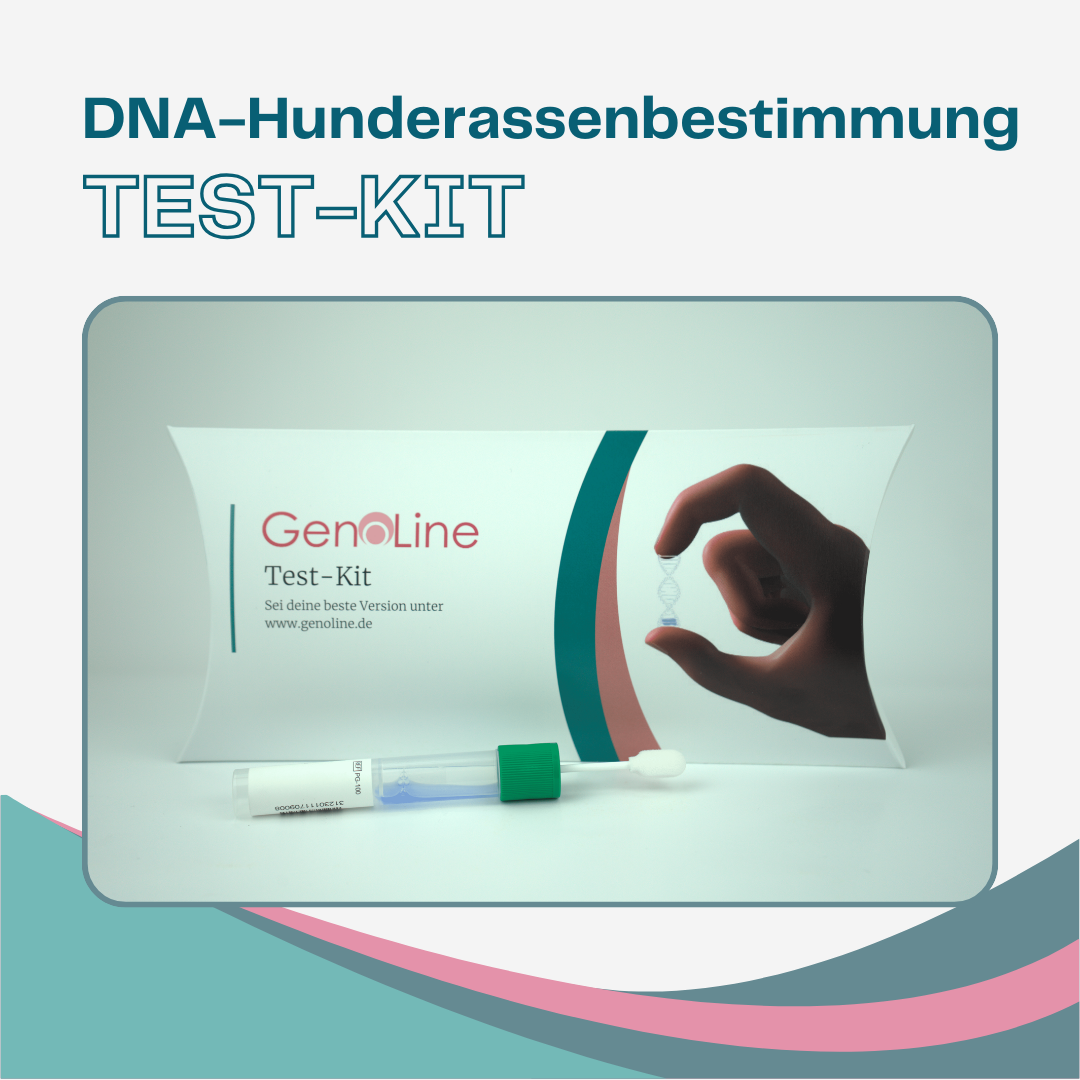 DNA Hunderassenbestimmung