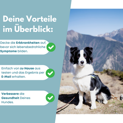 DNA-Erbkrankheiten Analyse Hund