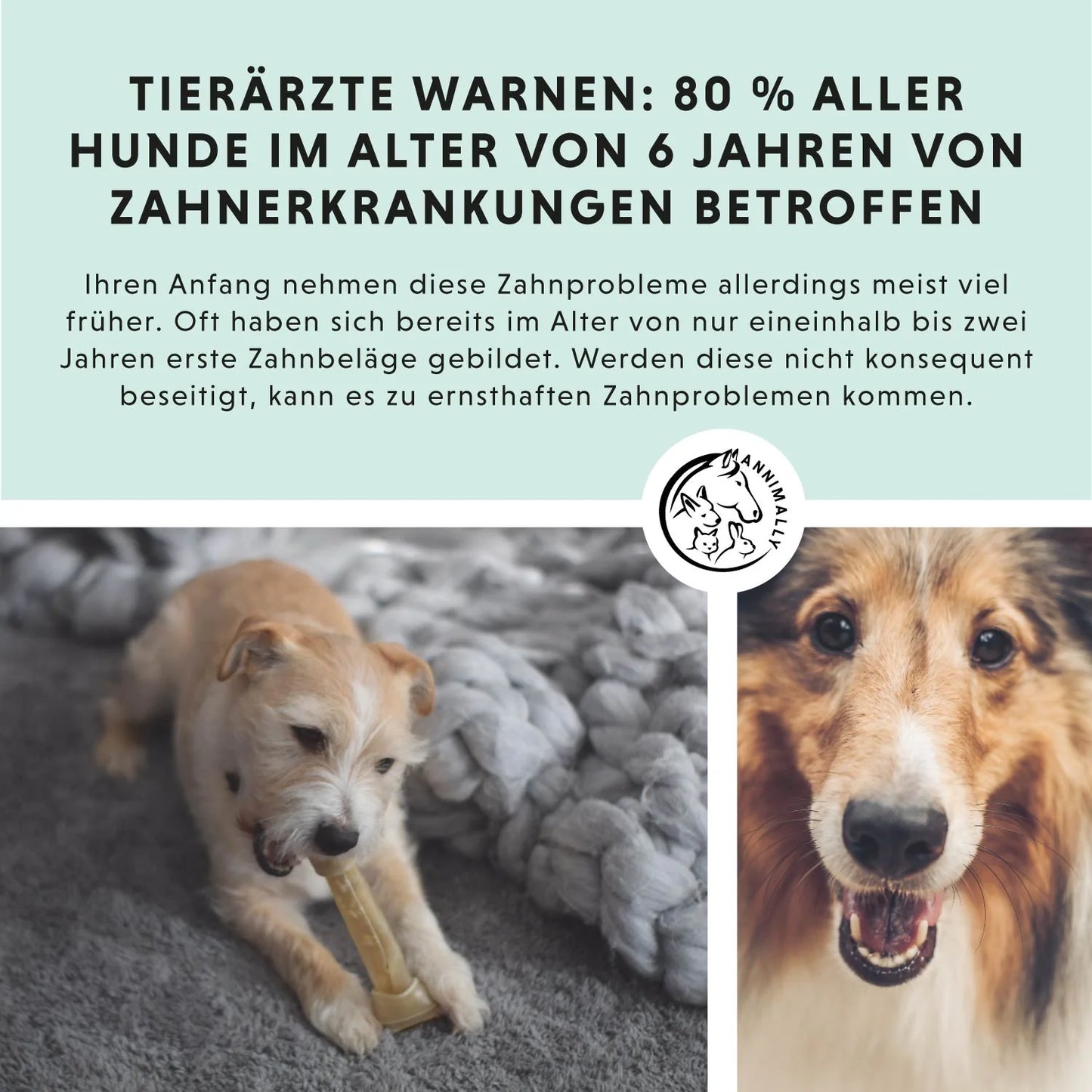 Annimally - Oral Vital Zahnpflege für Hunde