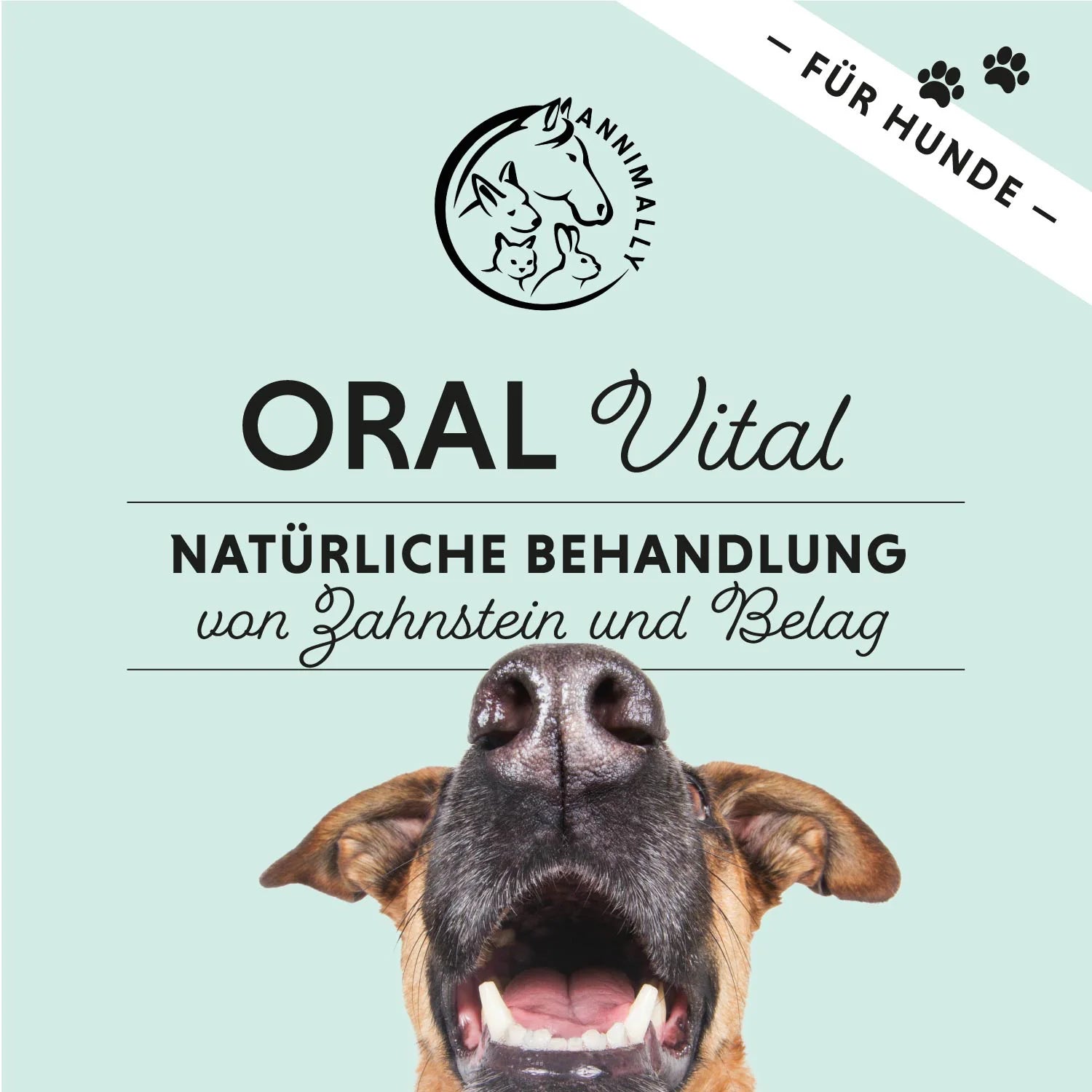 Annimally - Oral Vital Zahnpflege für Hunde